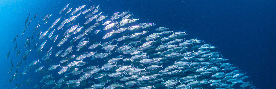 Миграция из VMware в Openstack